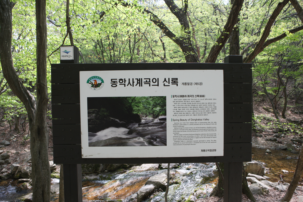 동학사계곡