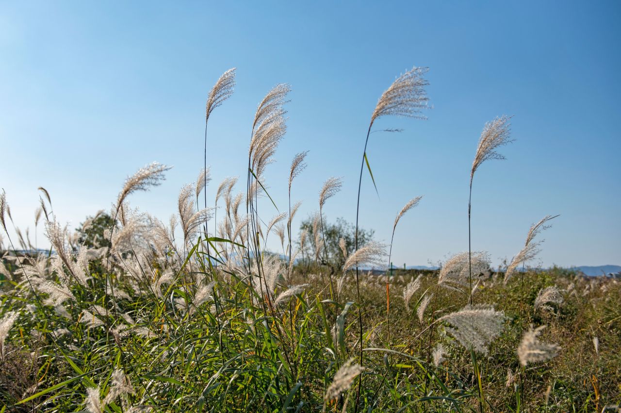 변산 사진 1