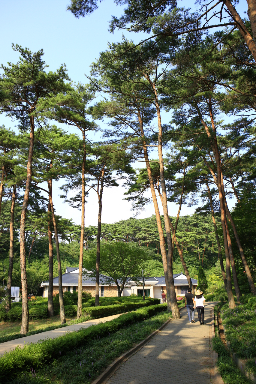 안면도자연휴양림