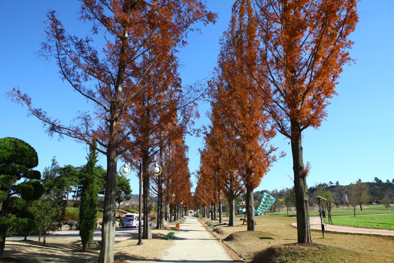 순천만국가정원 관광사진