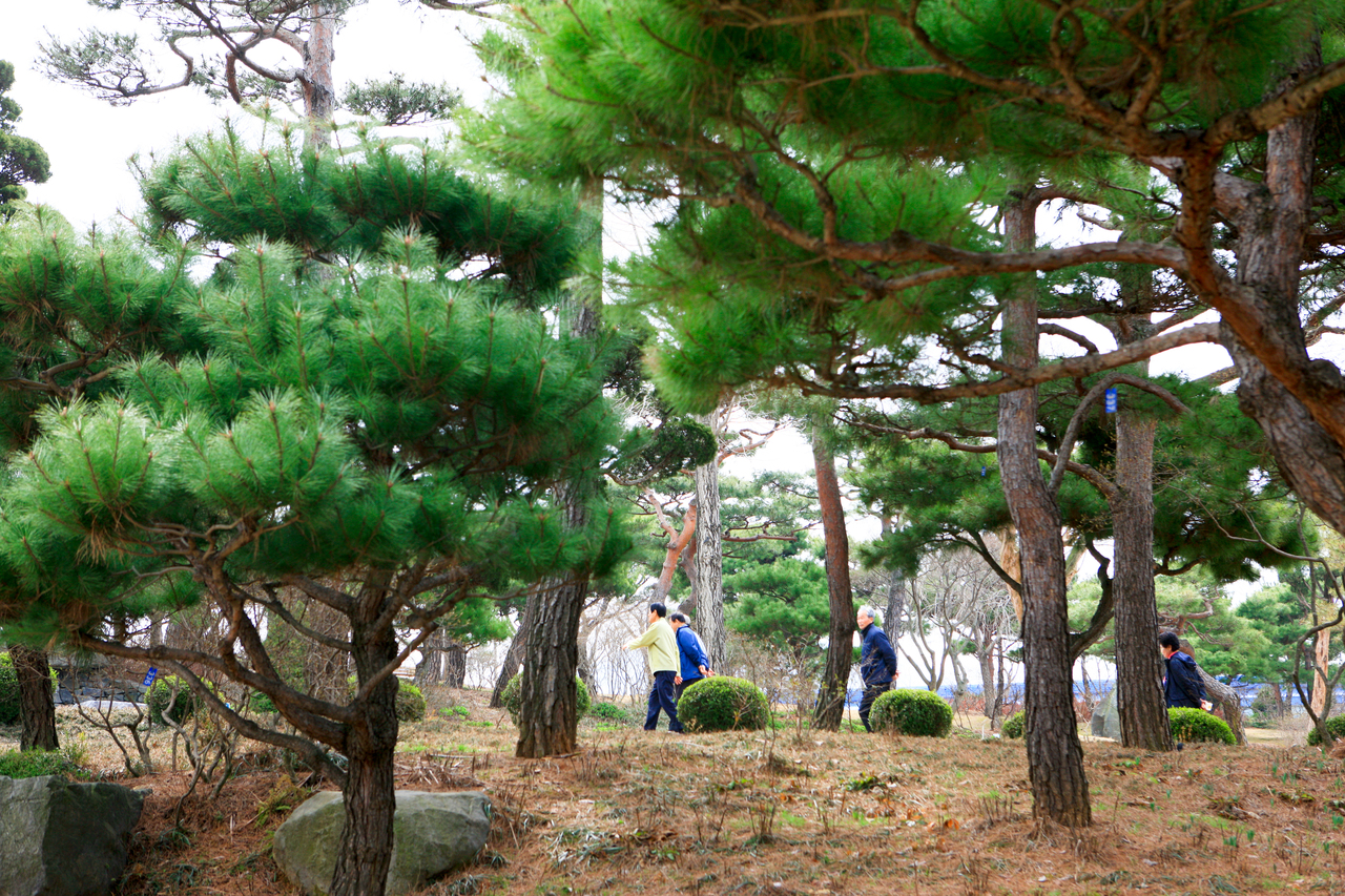 그림이 있는 정원