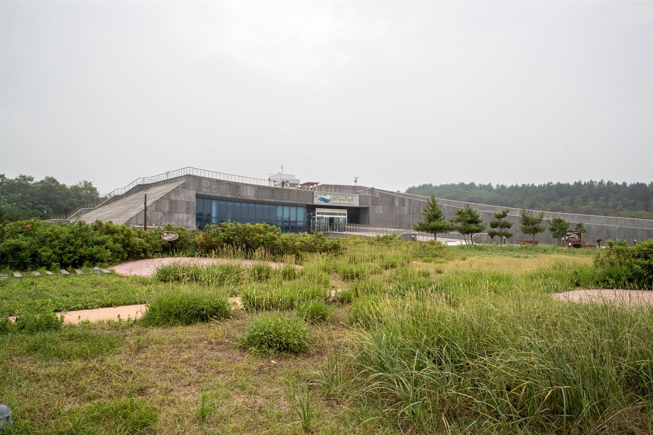 신두리사구센터