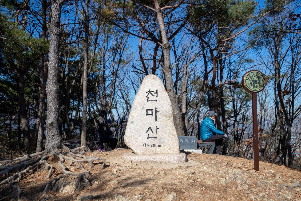 천마산 편백산림욕장 관광사진