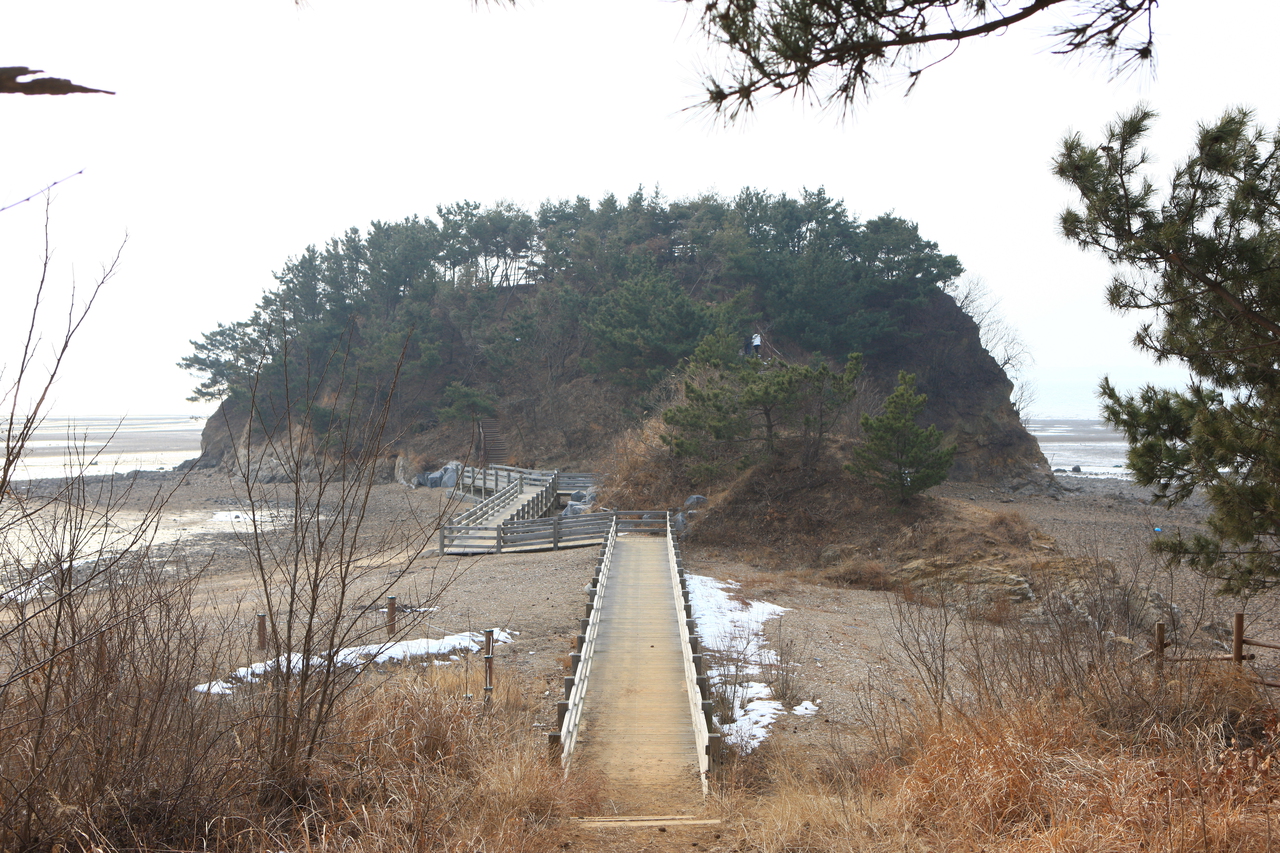 속동해안