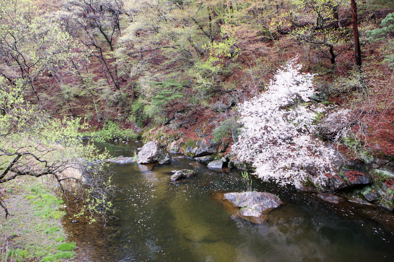 마곡사