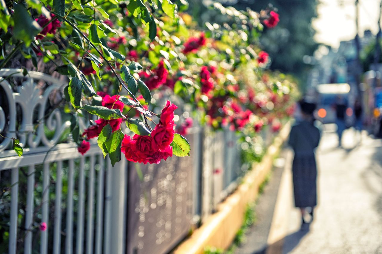 경성대골목 - 관광 포토