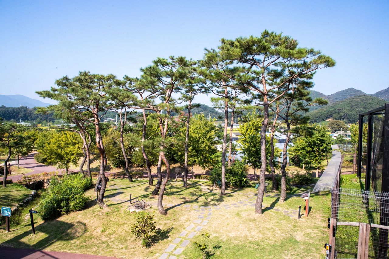 예산황새공원