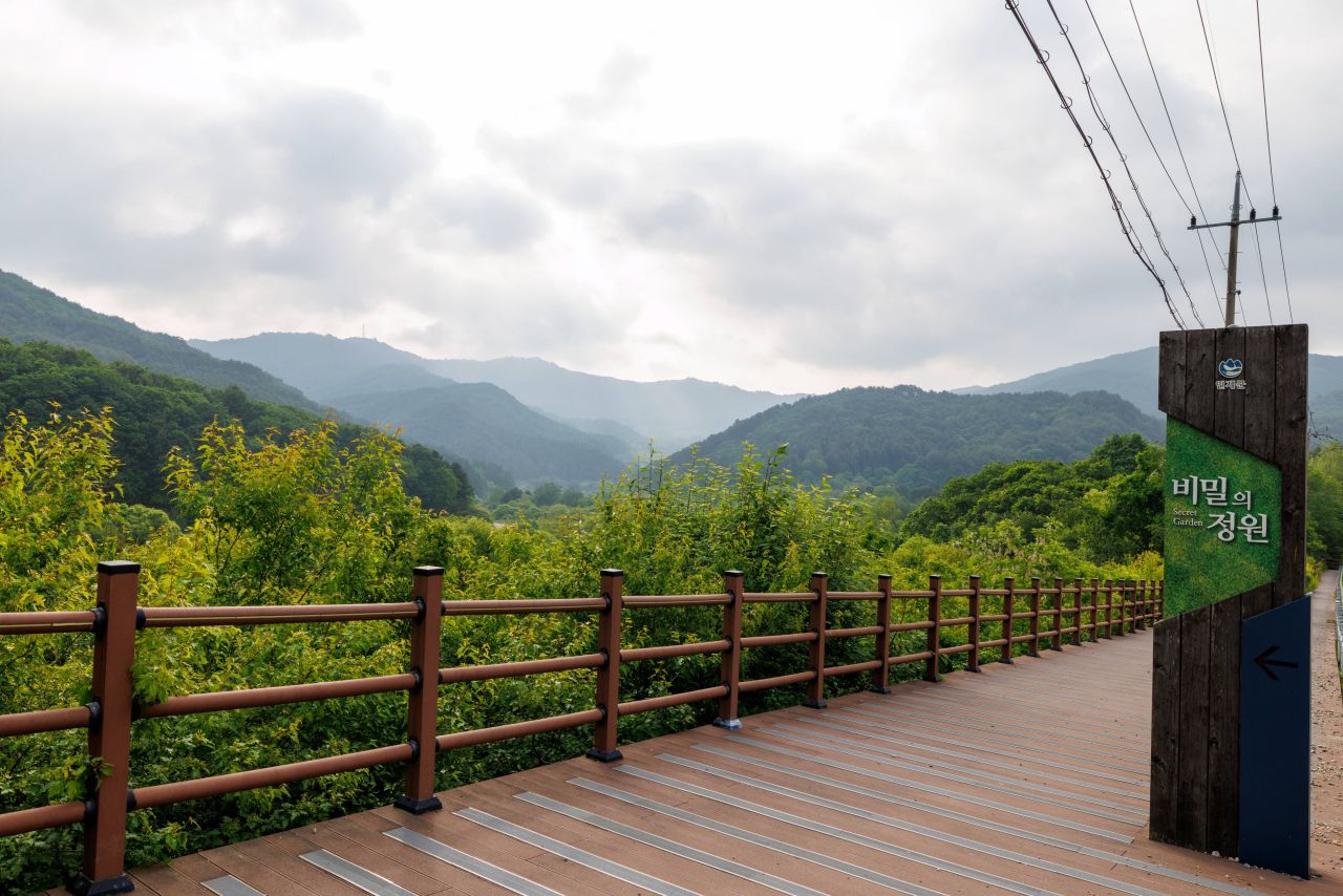 비밀의정원