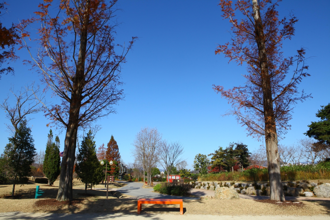 순천만국가정원 관광사진