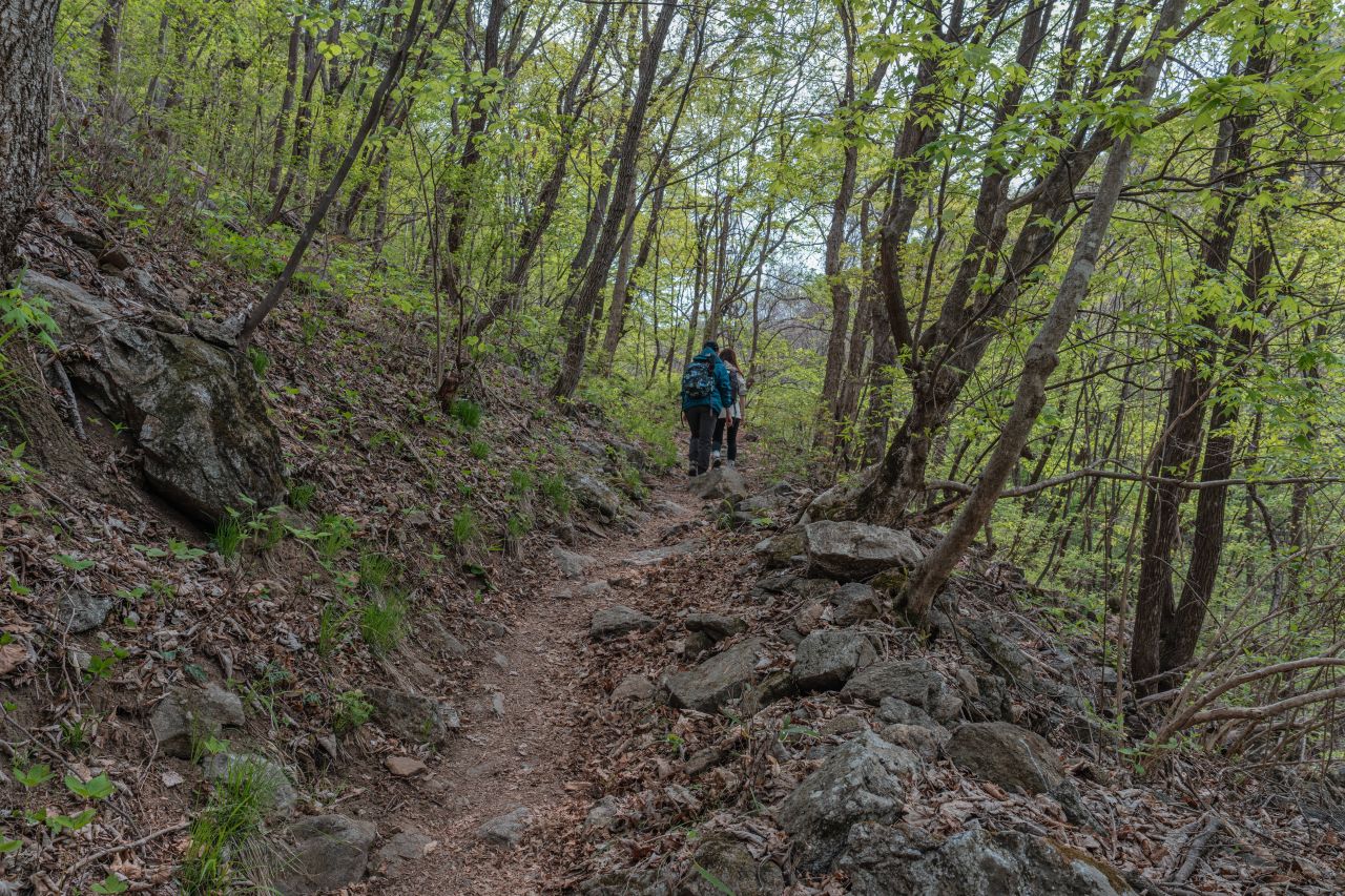 점봉산 사진 3