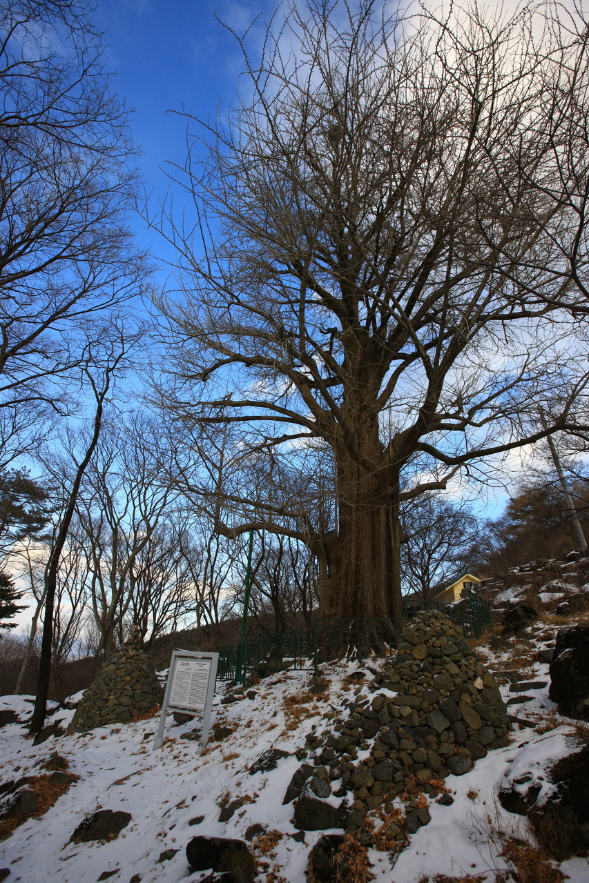 연수사(거창)