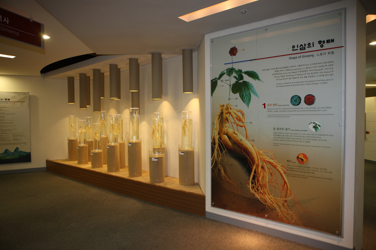 고려인삼창(정관장)
