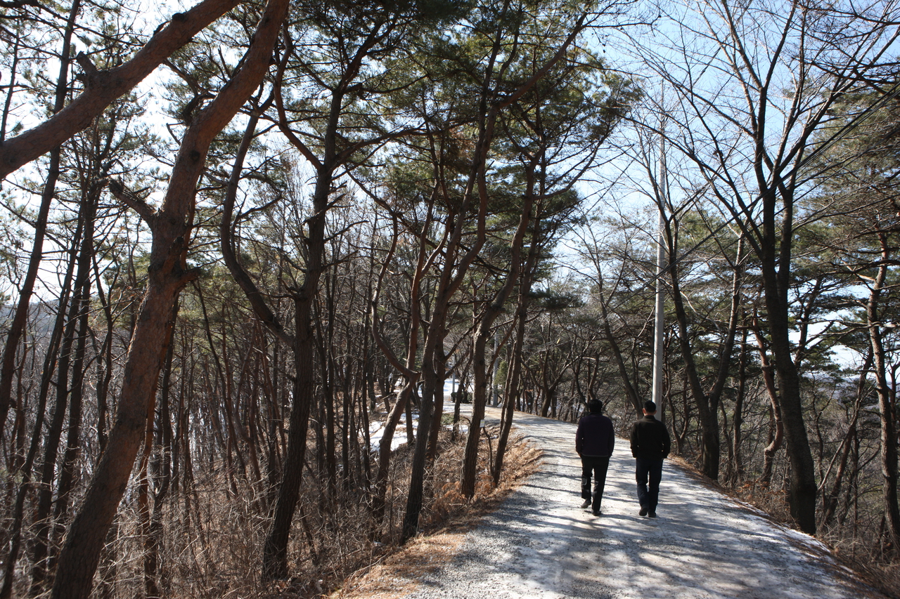칠갑산