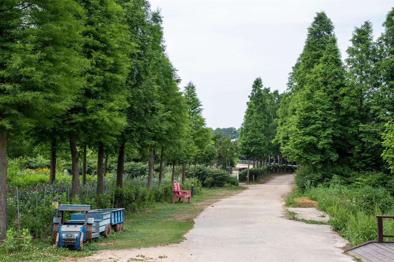 아그로랜드 태신목장