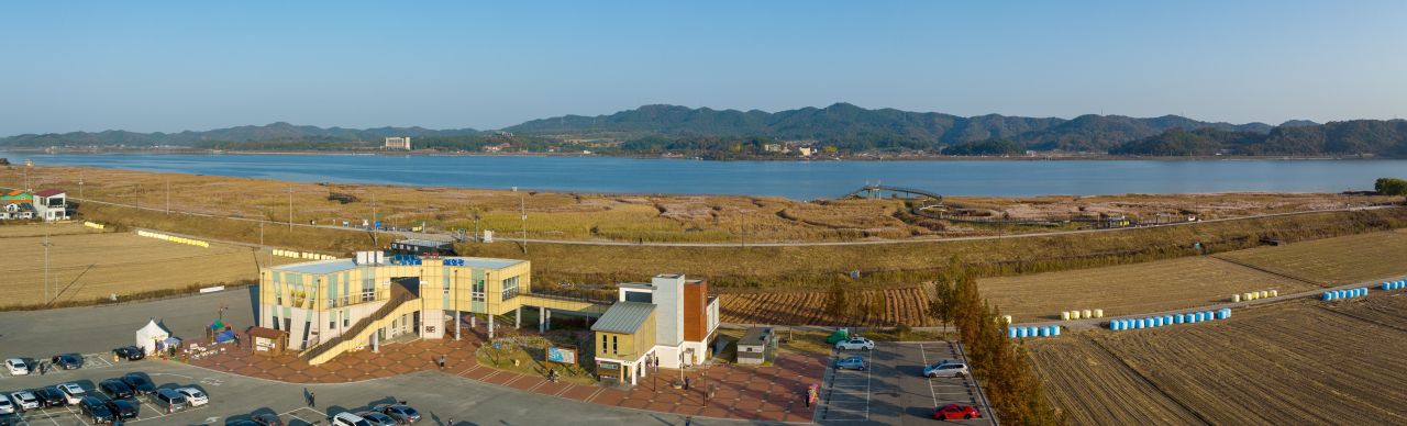 신성리 갈대밭