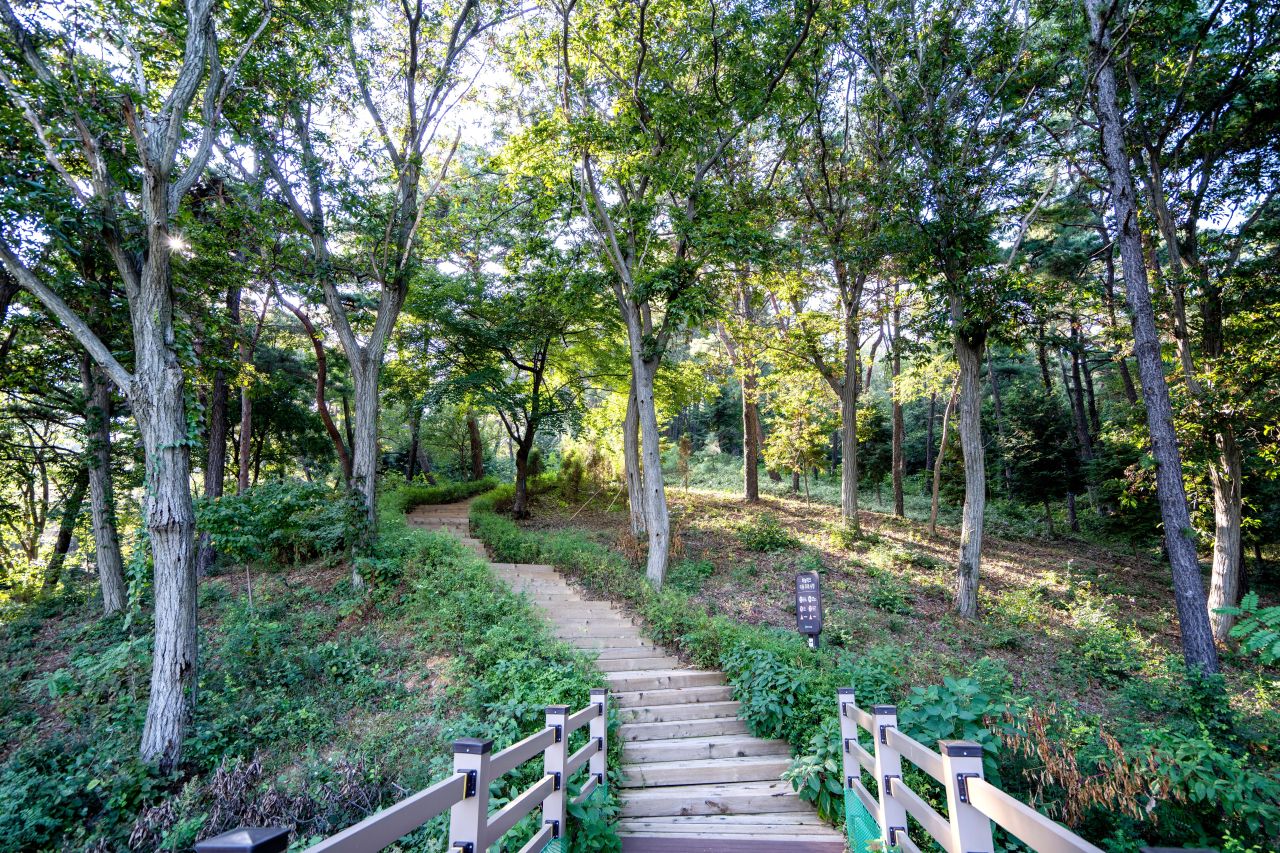 봉수산 수목원