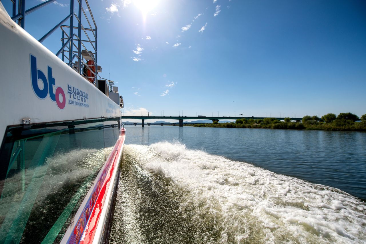 낙동강생태탐방선 (2019) - 관광 포토