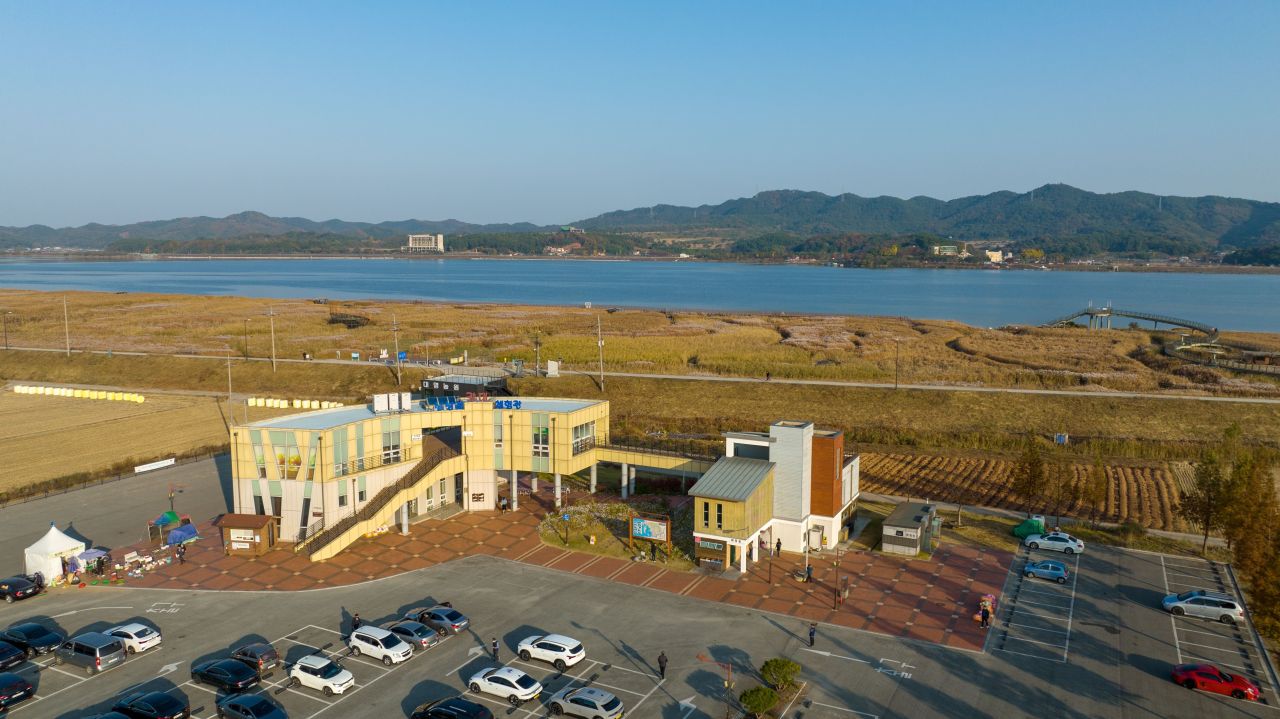신성리 갈대밭