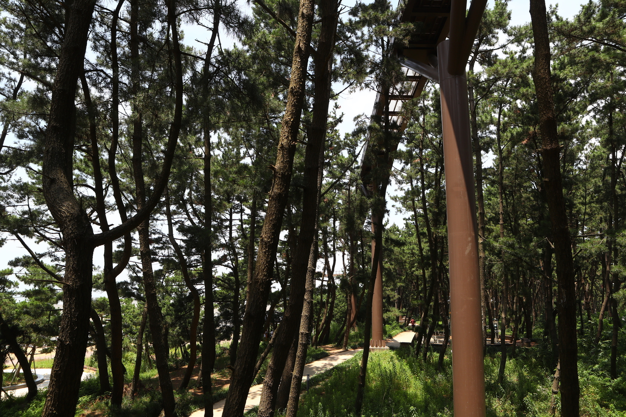 장항스카이워크