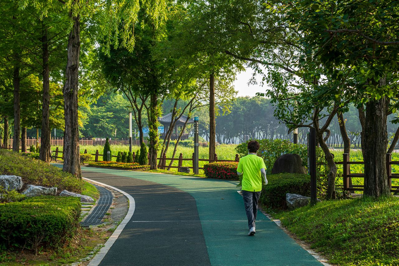 신정호정원