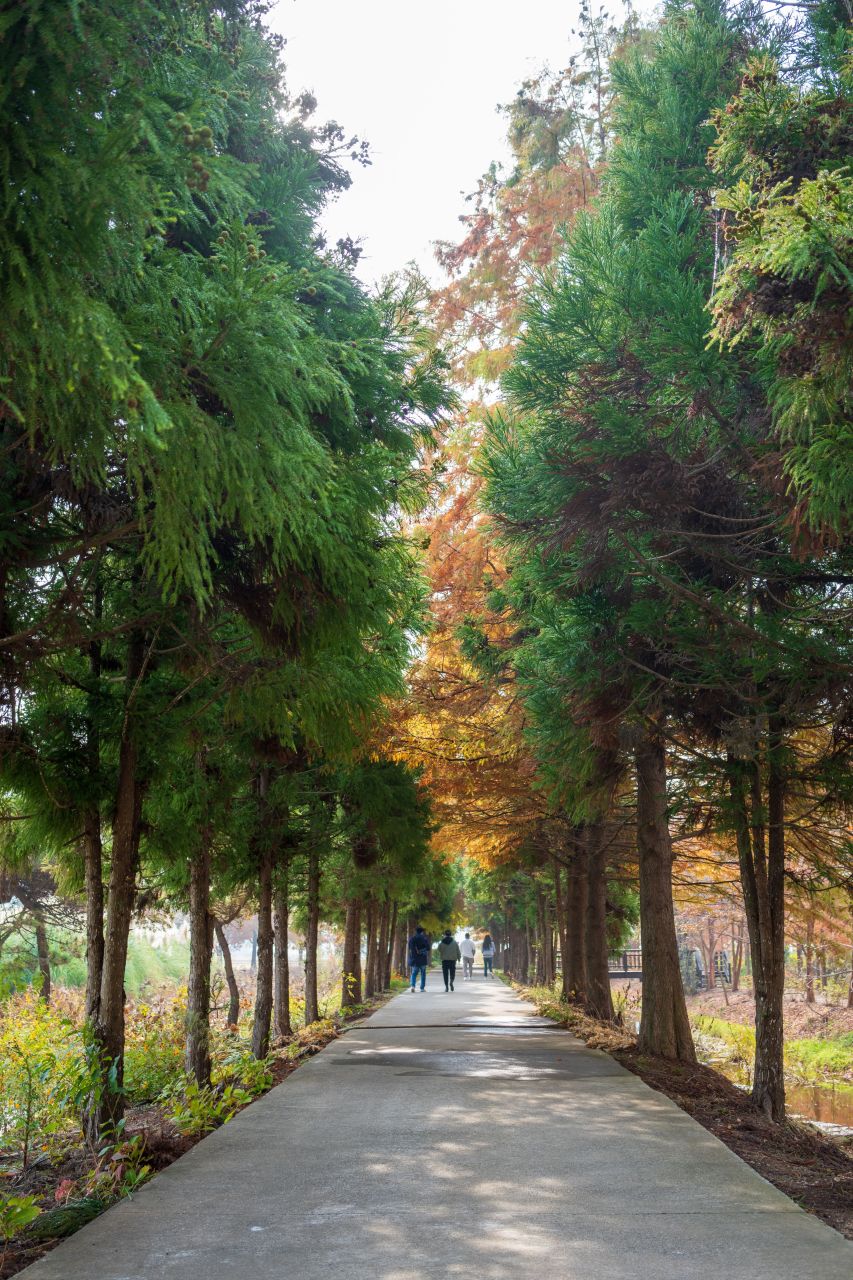 청산수목원
