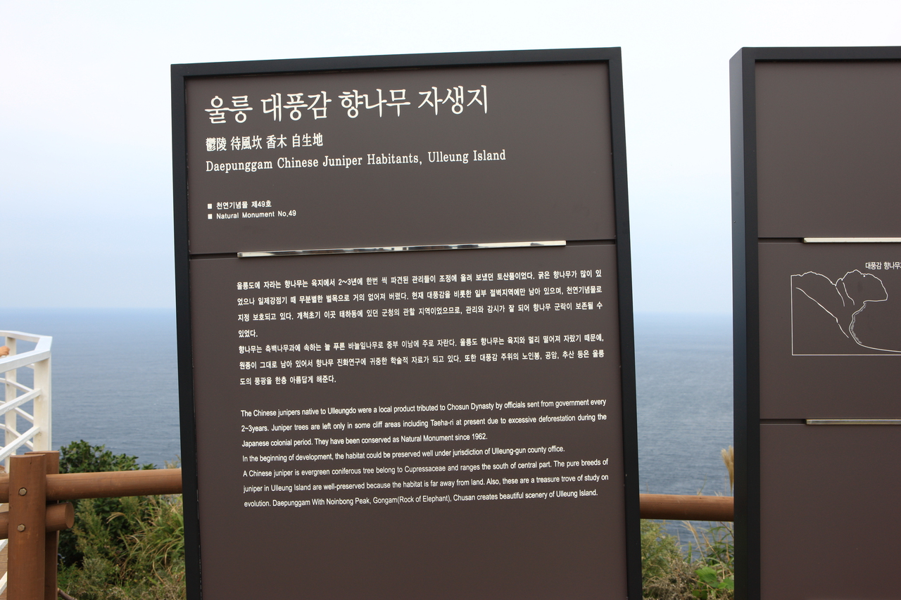 거북바위 및 향나무 자생지 (울릉도, 독도 국가지질공원)