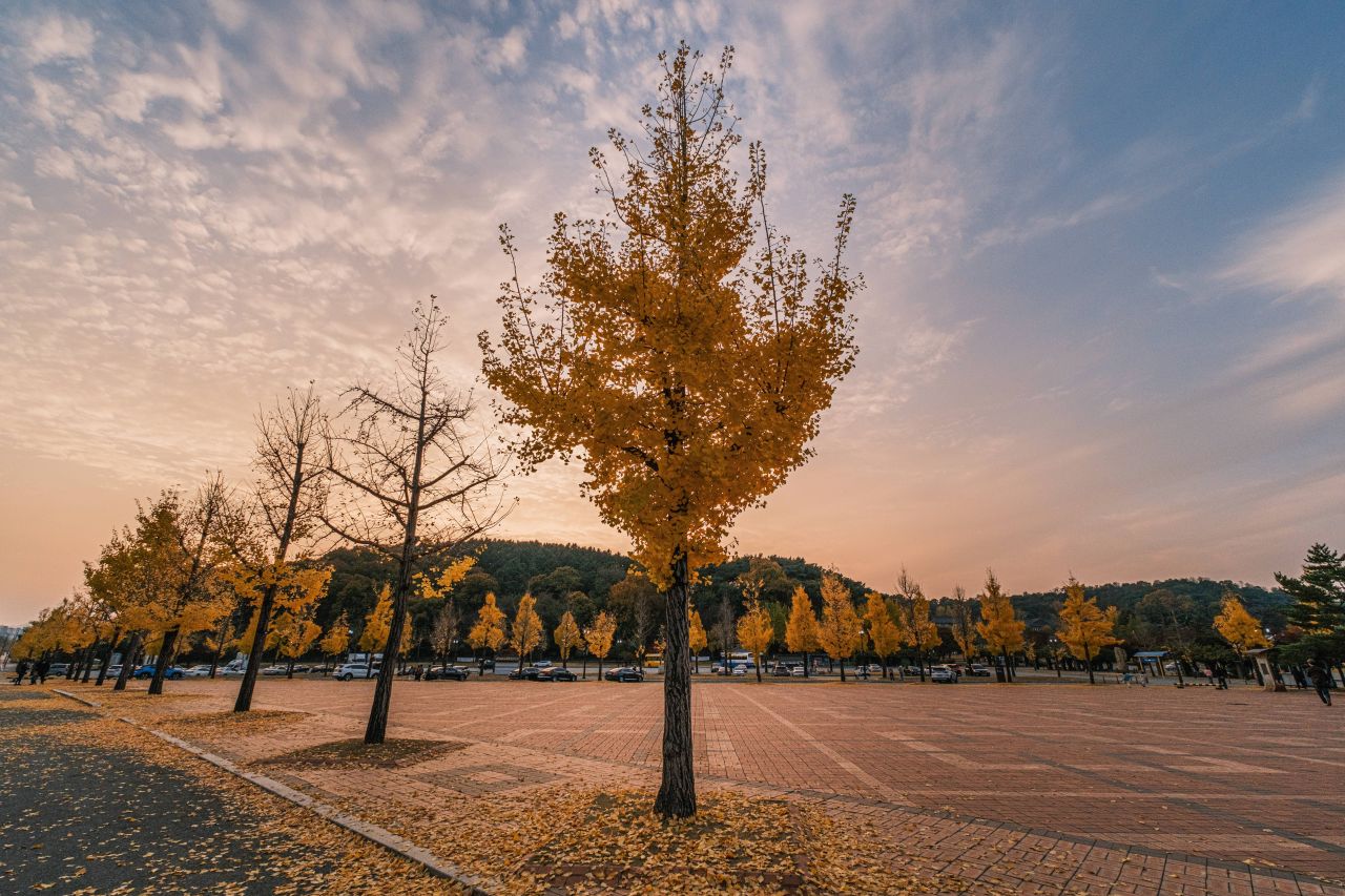 신창향교 사진 4