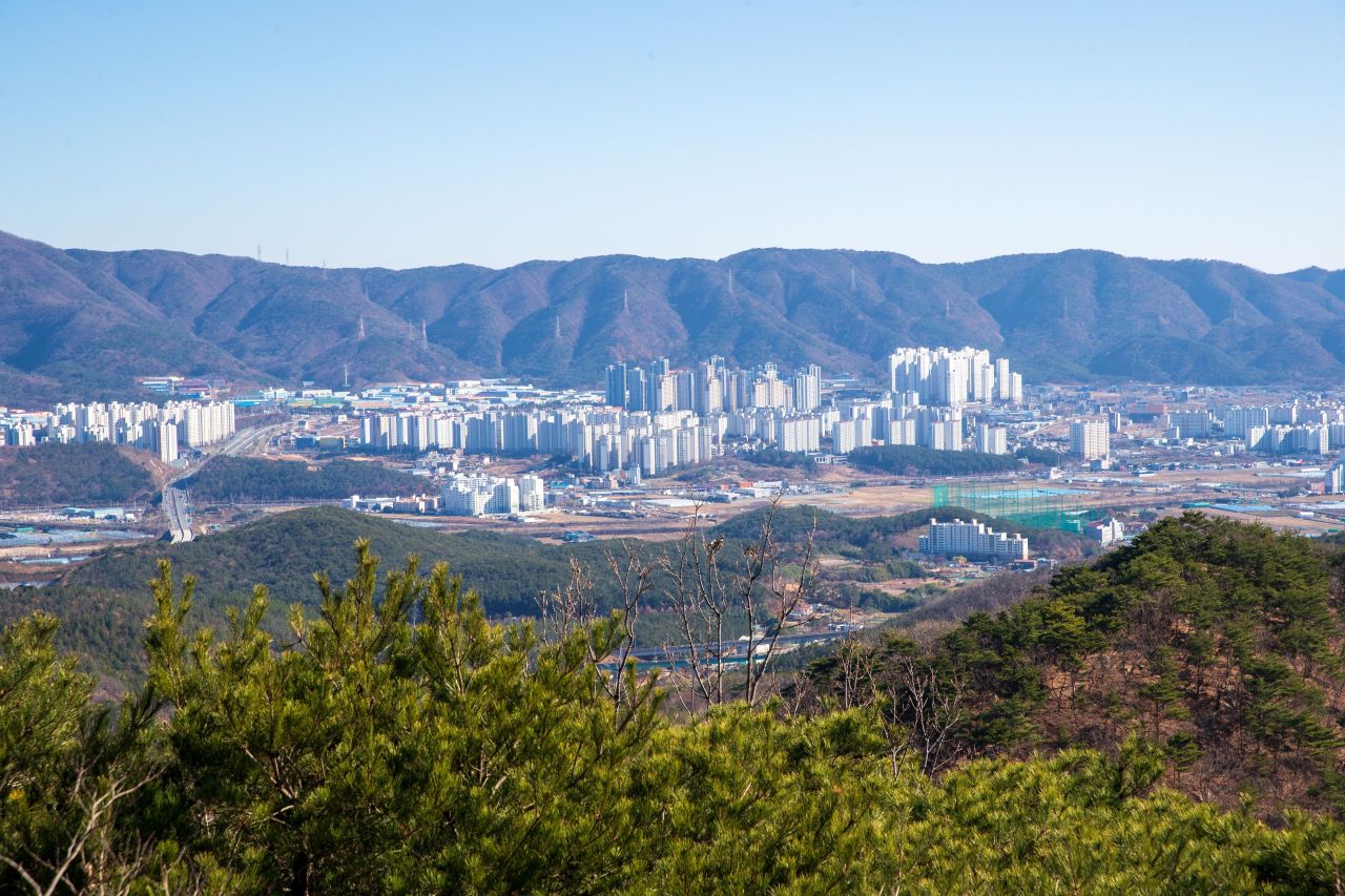 천마산 편백산림욕장 관광사진