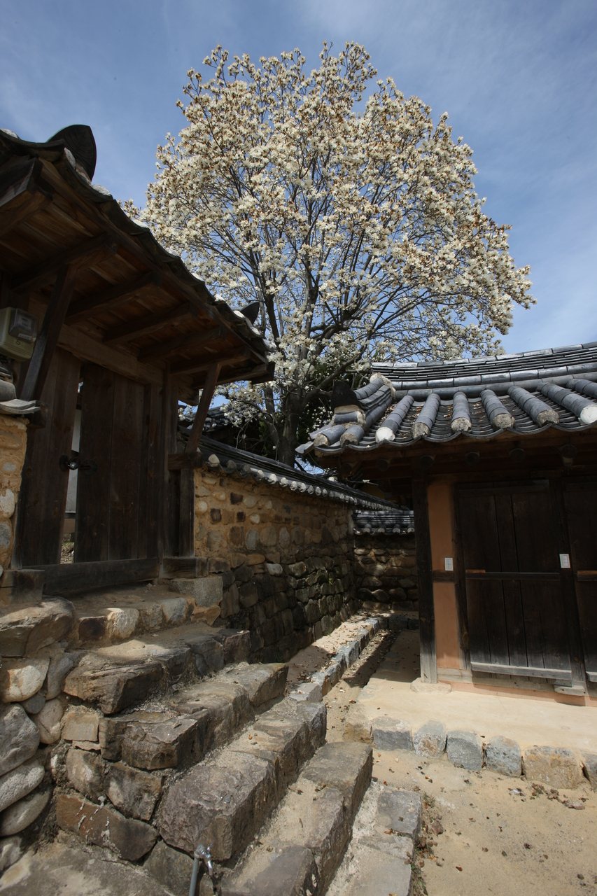 Goryeong Daegaya Tumuli Gaya Mounds (UNESCO) 고령향교