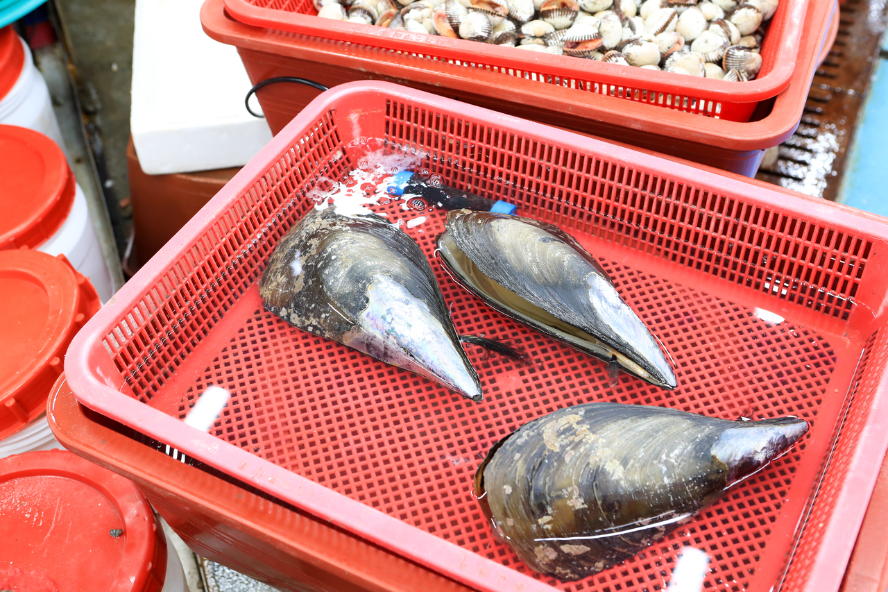 서천수산물특화시장
