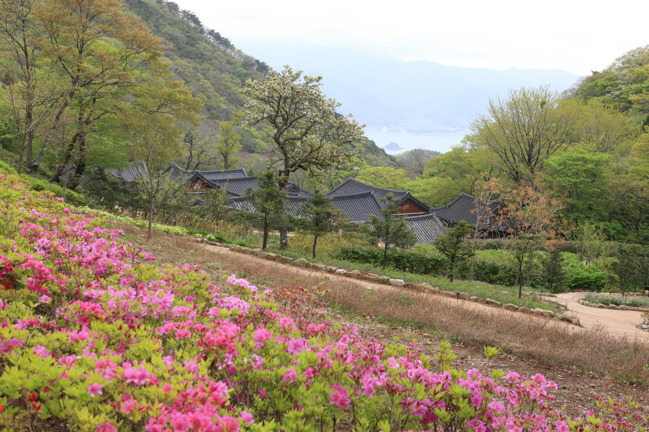 용문사(용문산)