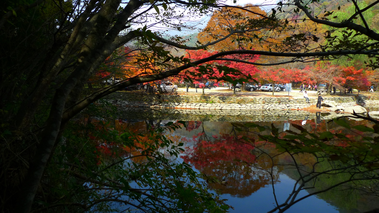 Red and orange autumn foliage reflected in a still mountain pond