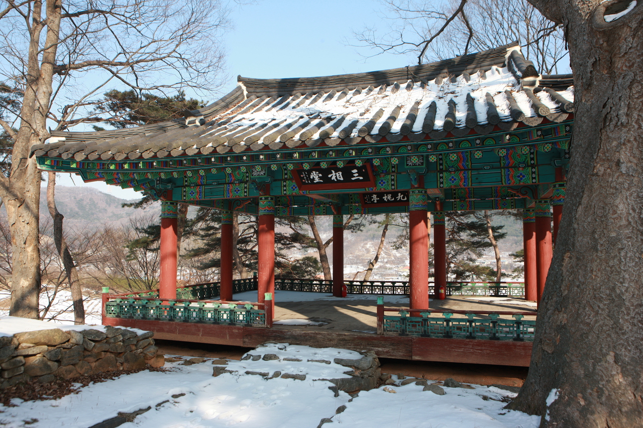 구괴정