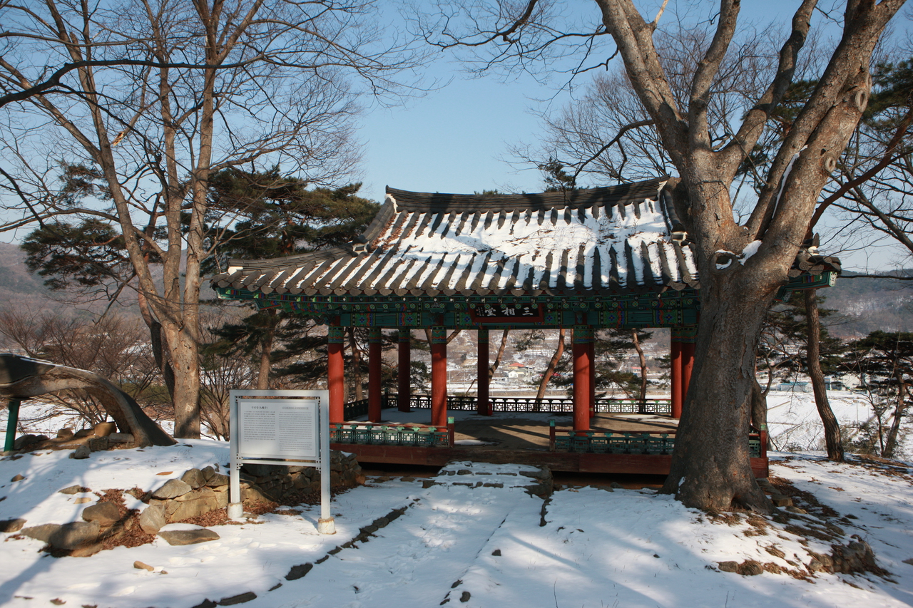 구괴정