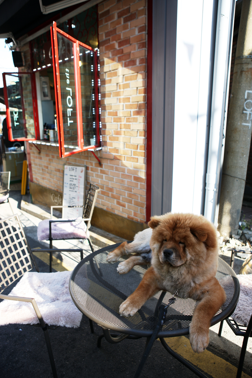 Itaewon · Hannam