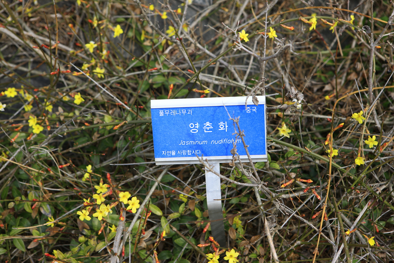 그림이 있는 정원