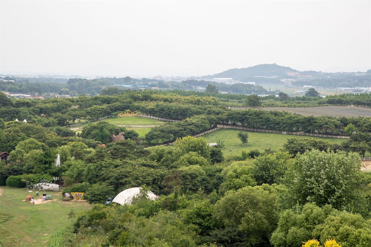 아그로랜드 태신목장