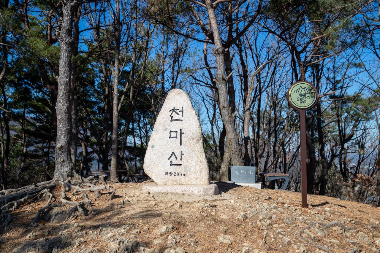 천마산 편백산림욕장 관광사진