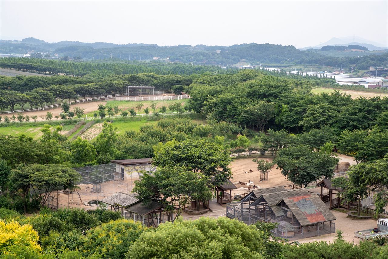 아그로랜드 태신목장
