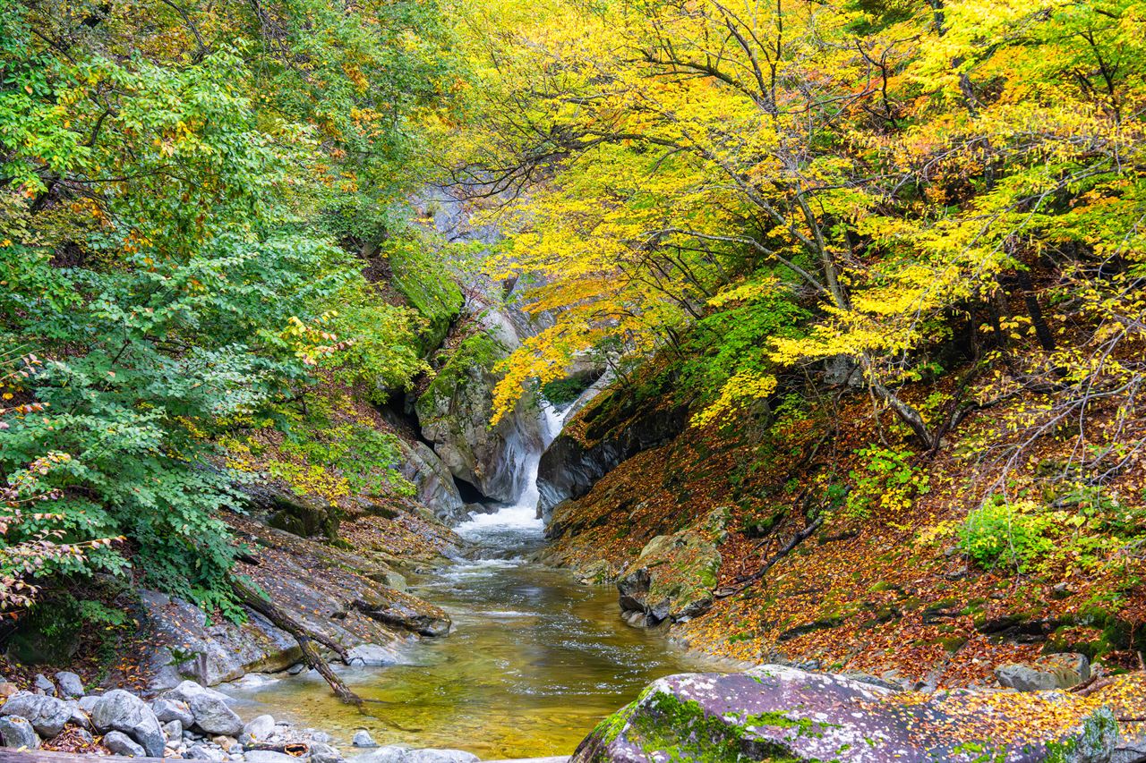 설악산 사진 3
