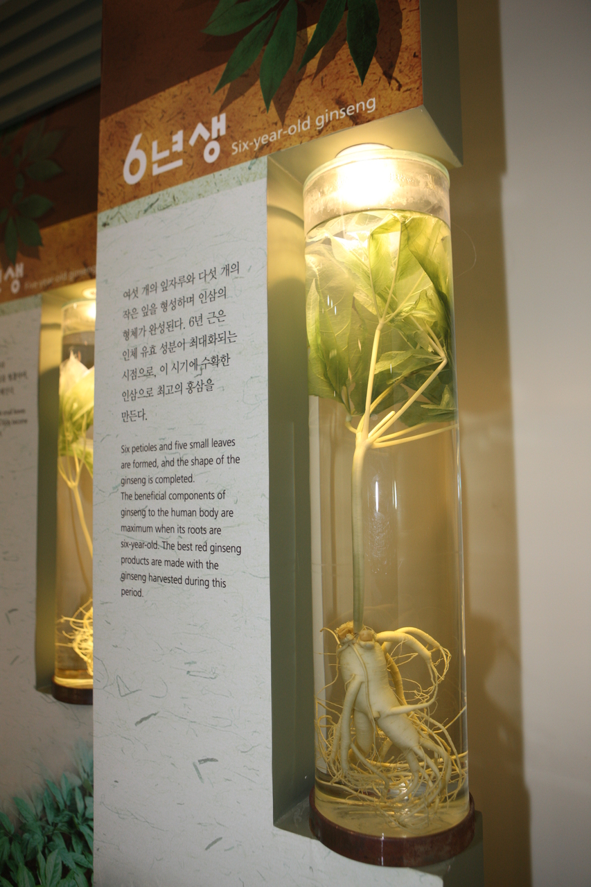 고려인삼창(정관장)