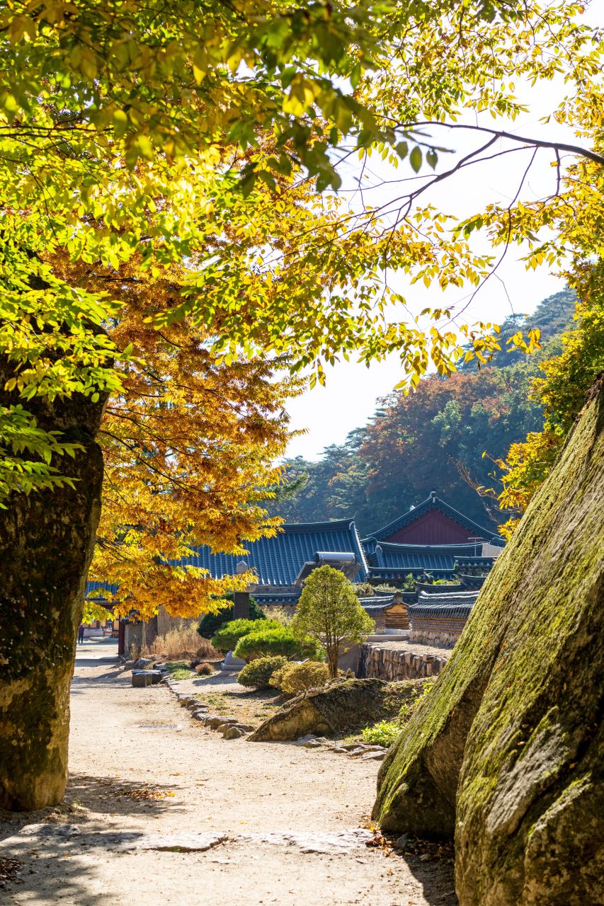 보은 법주사 관광사진