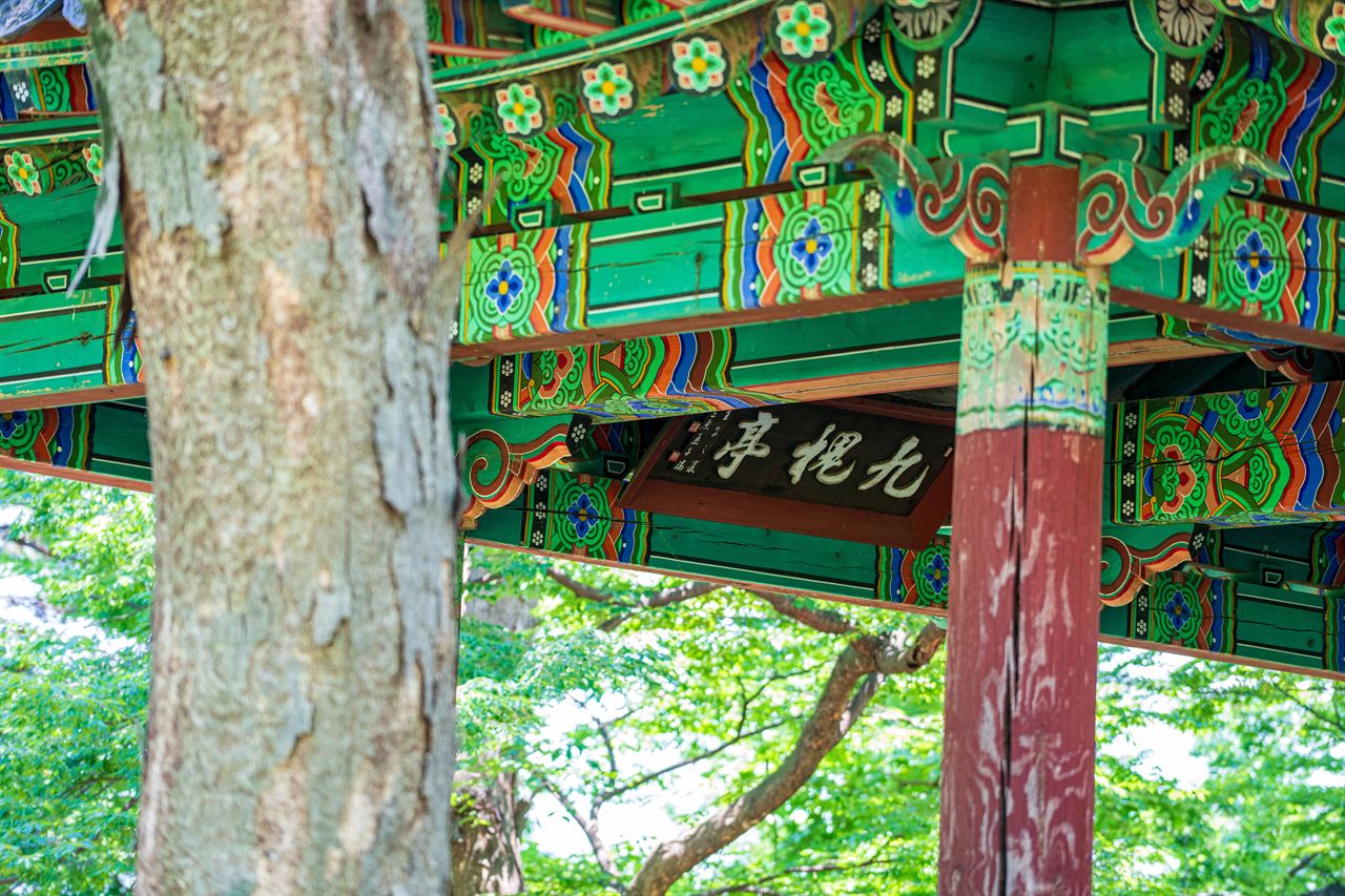 아산 맹씨 행단