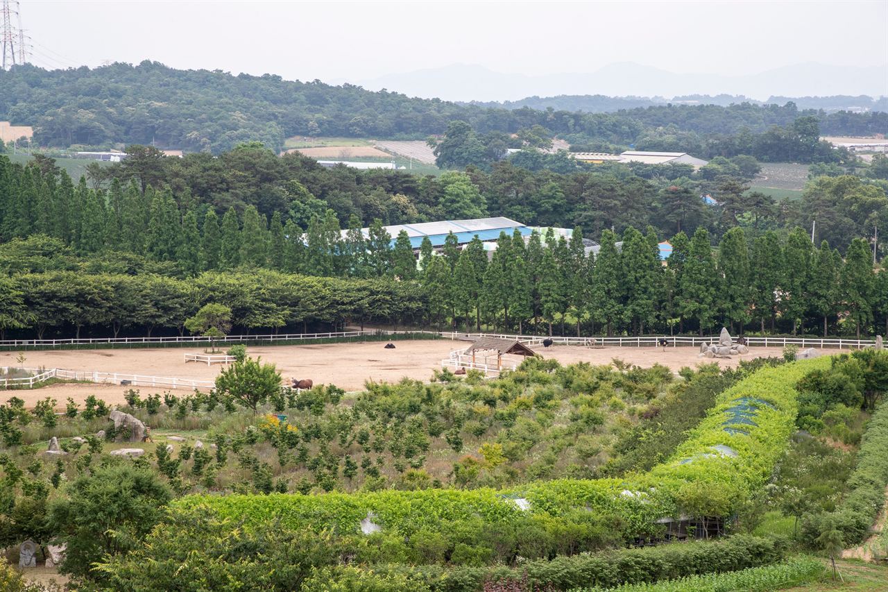 아그로랜드 태신목장