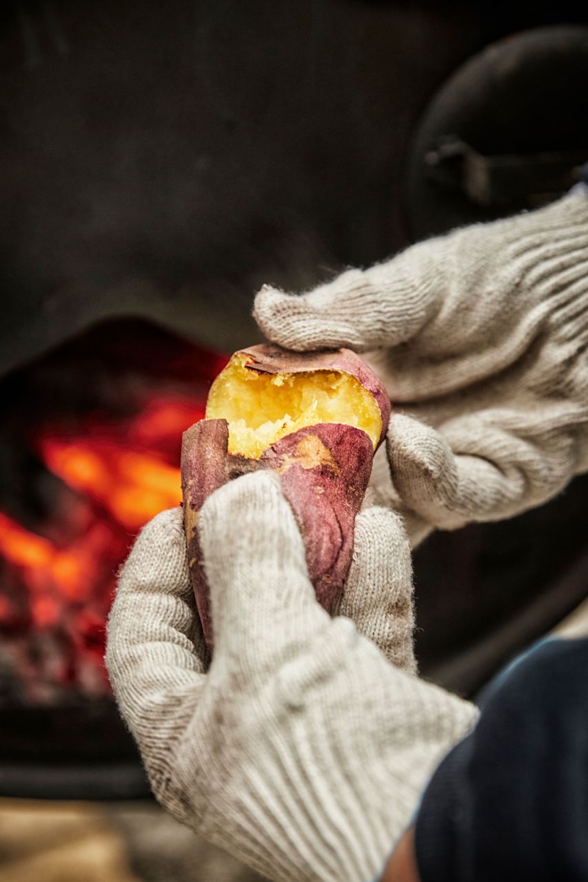 A roasted sweet potato broken open to show soft yellow flesh, held in cotton work gloves in front of a roasting drum. ⓒ한국관광공사 포토코리아-알렉스분도 (Korea Tourism Organization, KOGL Type 1)