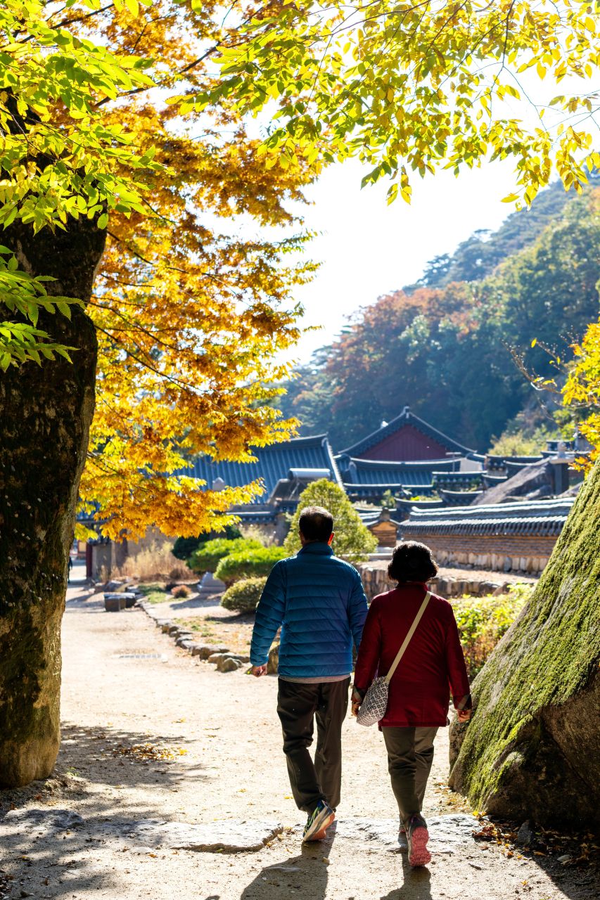 보은 법주사 관광사진