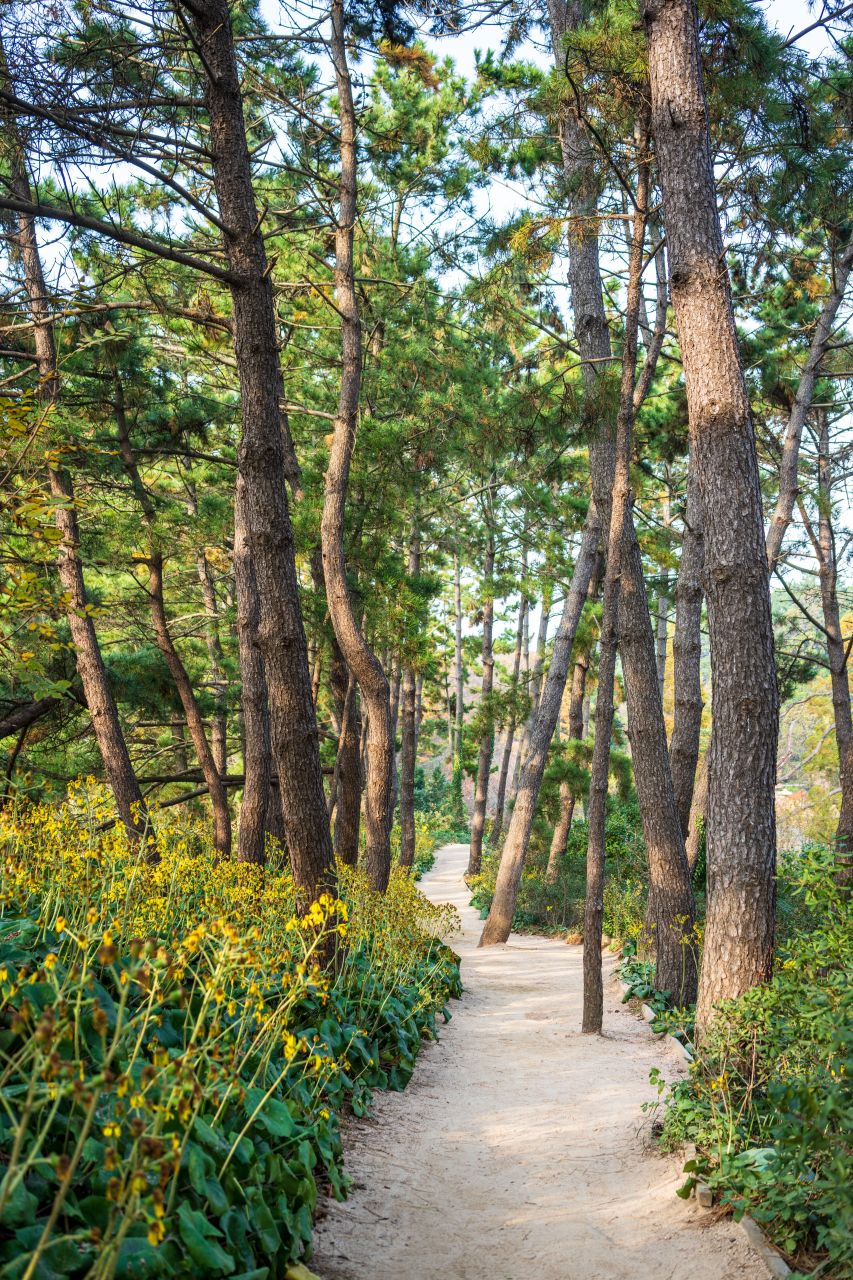 천리포수목원