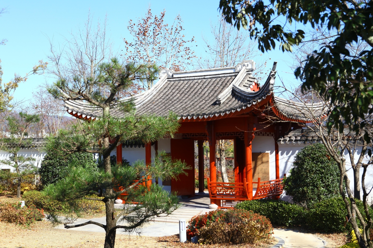 순천만국가정원 관광사진