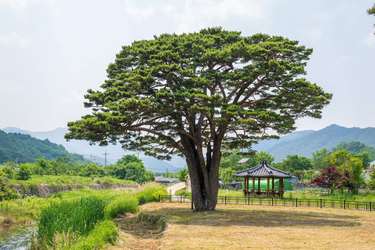 화산서원(함양) 사진 5