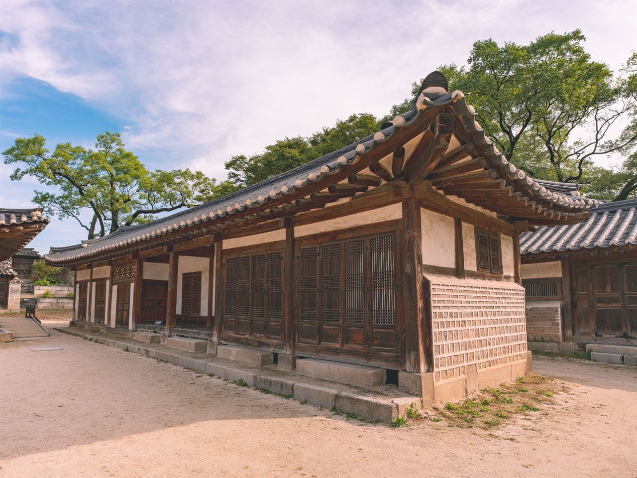 이색 버섯 샤부샤부 방송 정보 이미지
